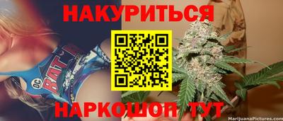 стаф Кинель