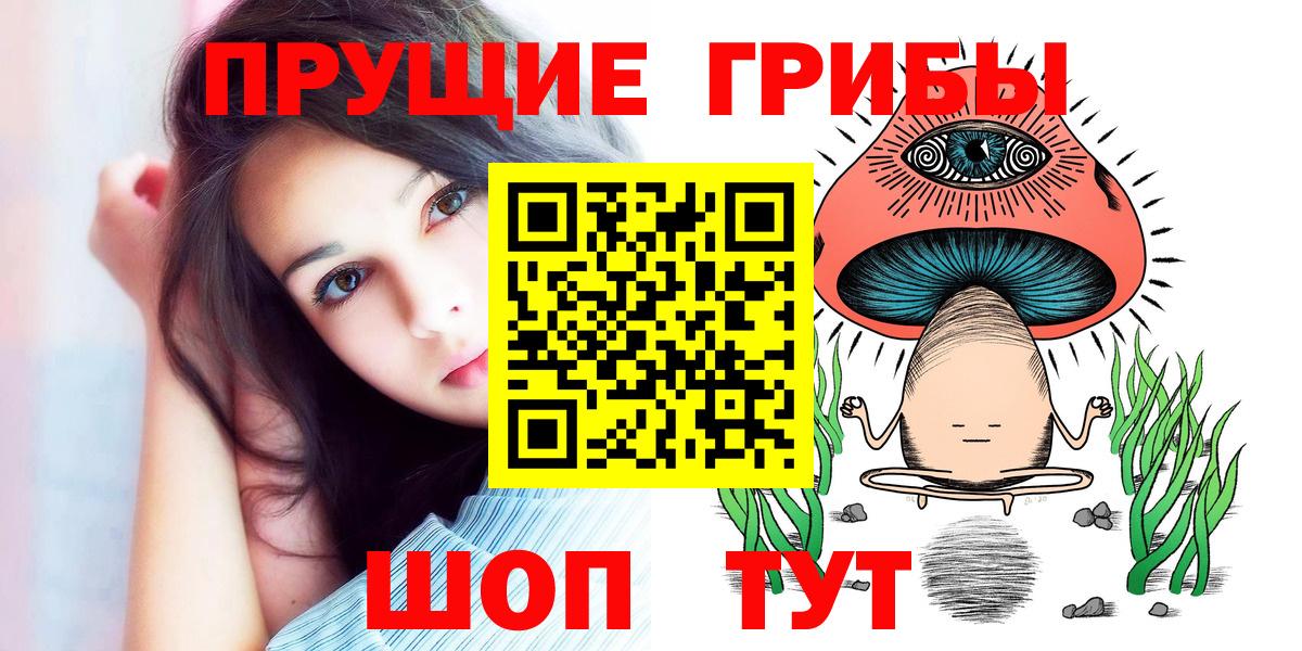 Буйнакск  Псилоцибиновые грибы мицелий  Псилоцибиновые грибы Psilocybe  Вход с VPN 